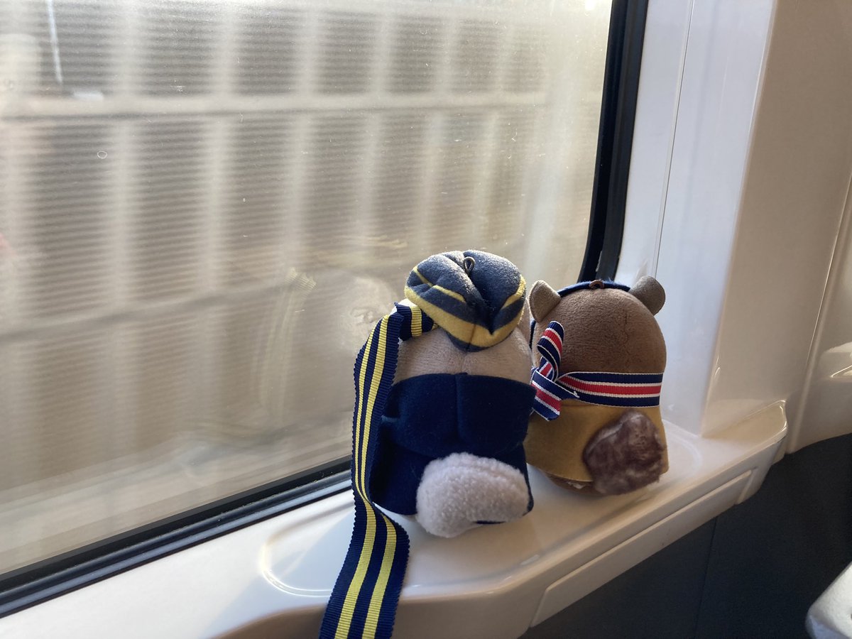 とねびらいな〜