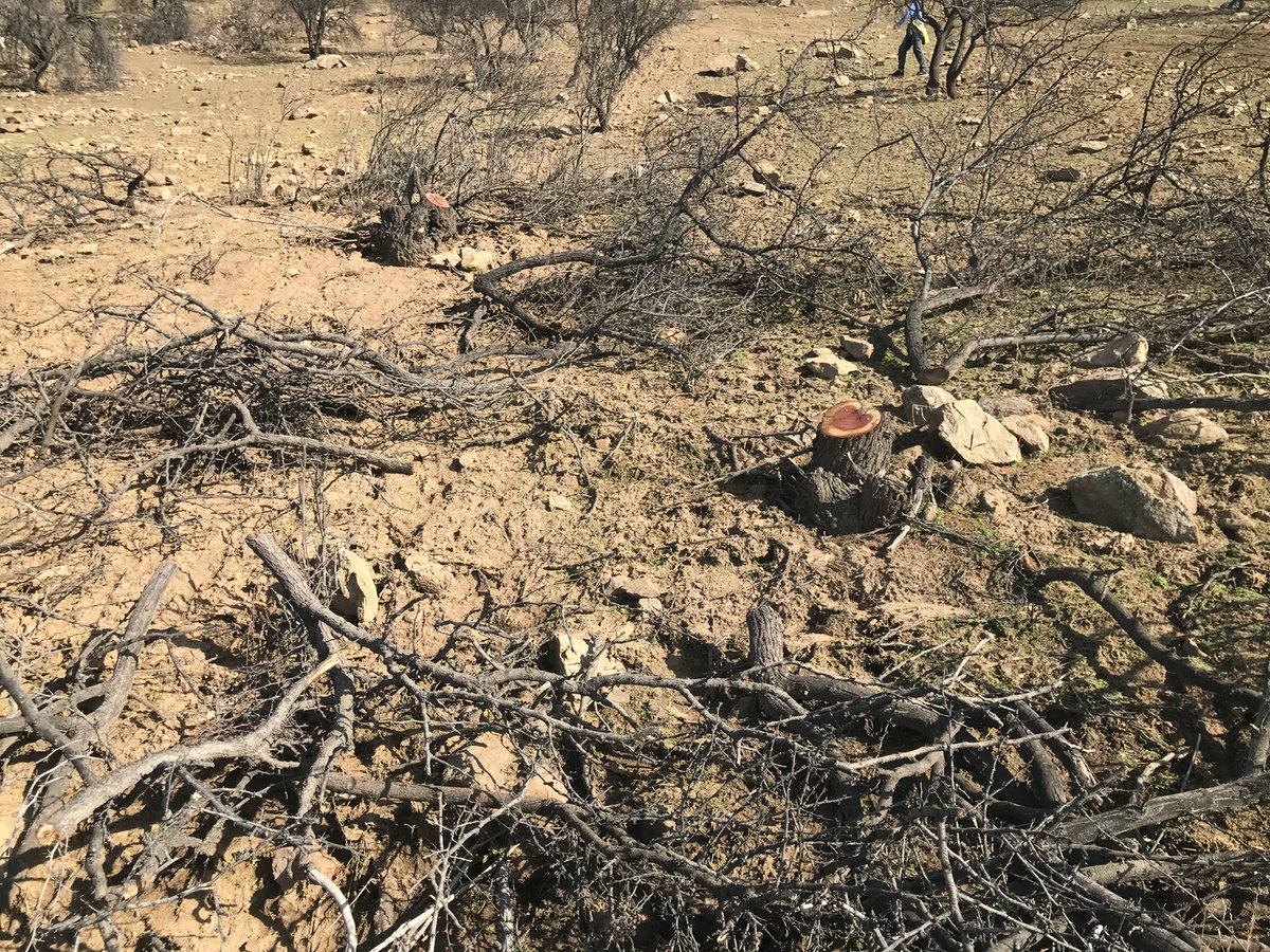 con el acceso tan fácil para entrar a área de preservación ecológica, especialmente para camionetas y otros vehículos en el #pandeazucar de #Colina, este es el tipo de destrucción que uno puede encontrar. <a href="/conaf_minagri/">CONAF - Corporación Nacional Forestal</a> <a href="/MMAChile/">Ministerio del Medio Ambiente</a> <a href="/MuniColina/">Municipalidad Colina</a> <a href="/ChicureoSur/">Colina_Sur</a> <a href="/MMAMetropolitan/">Seremi M.Ambiente RM 🌿</a>