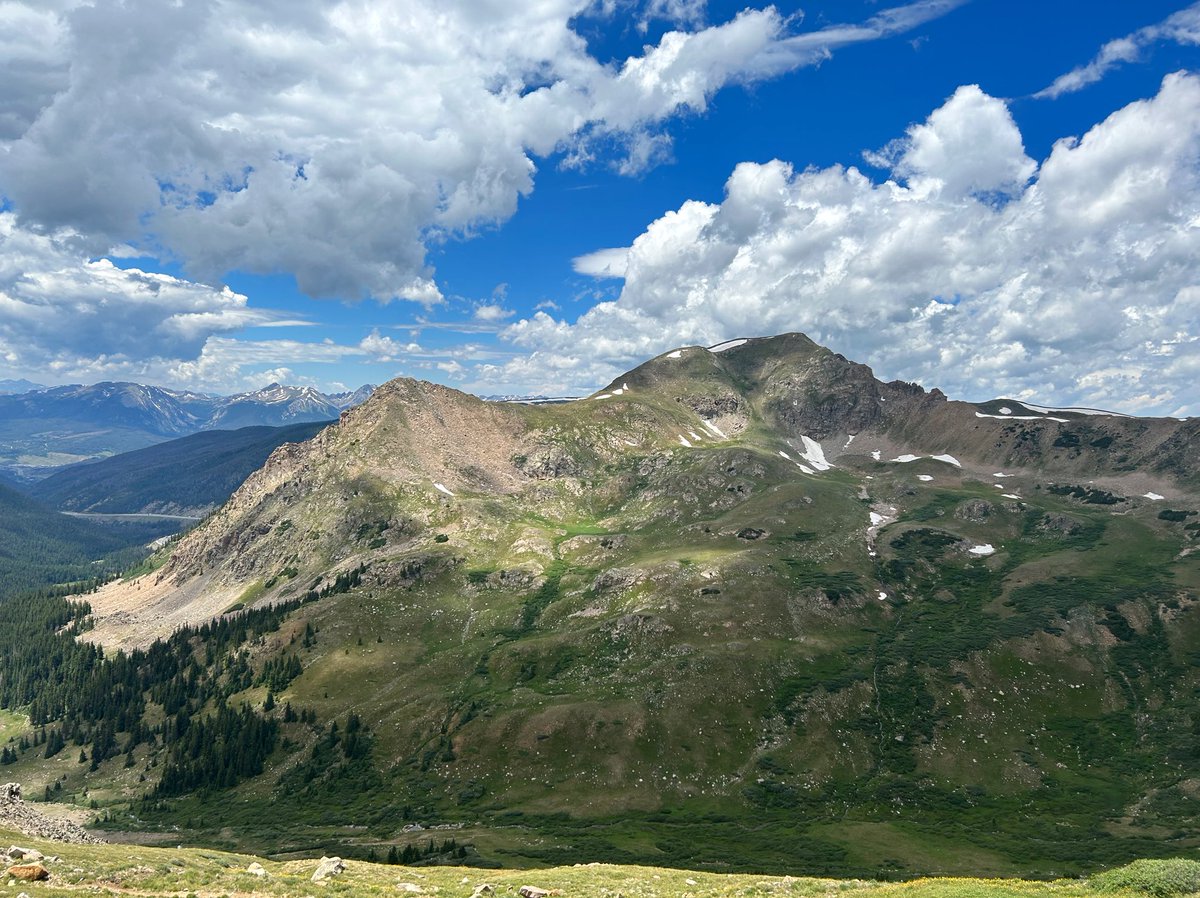 sunbittern's tweet image. Good hike from mountain meadows with lots of sparrows singing (white-crowned, lincolns, fox) up to tundra full of pipits