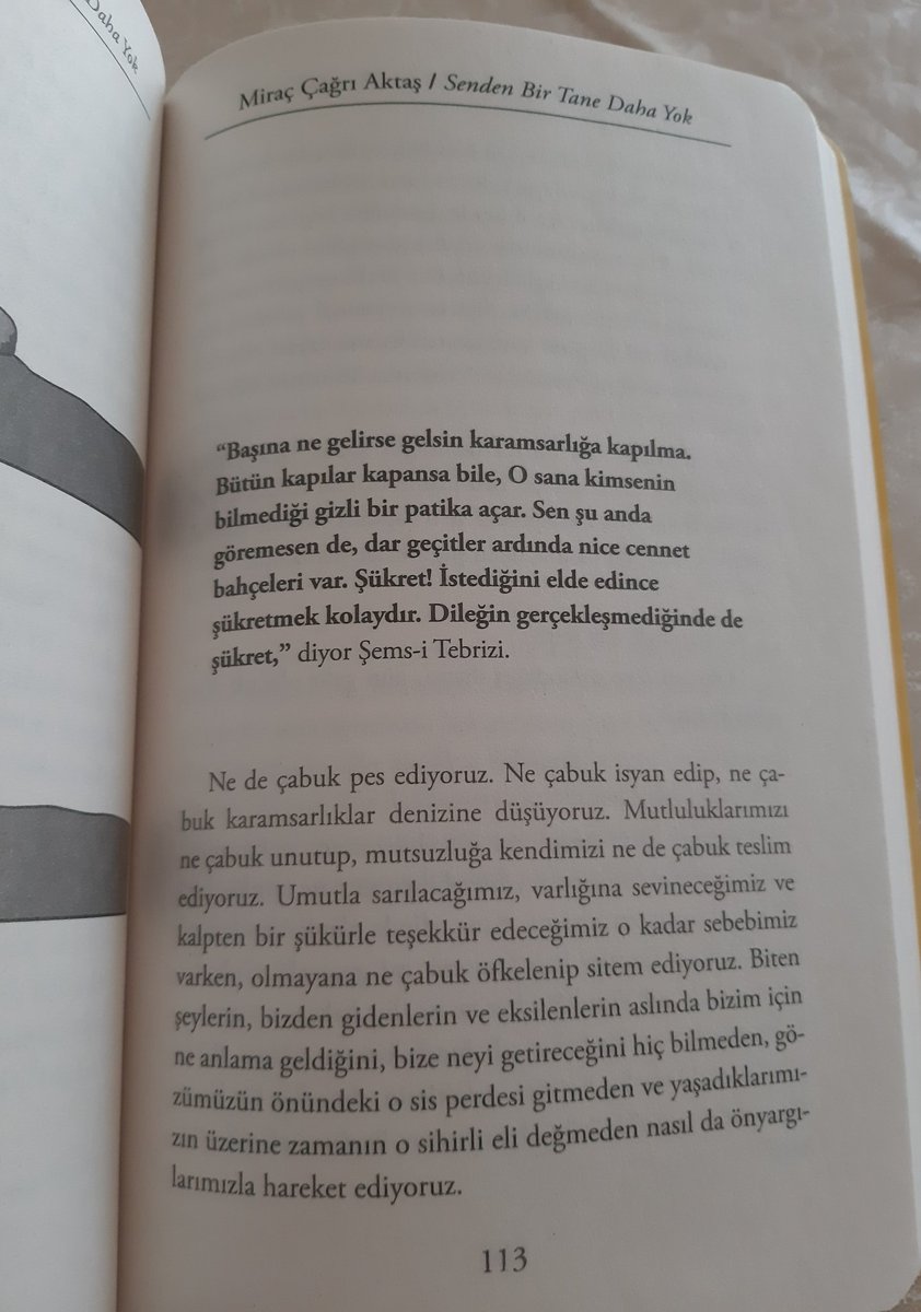 llimoncicegi_'s tweet photo. 👏🥰 https://t.co/HsuBVPsOSz