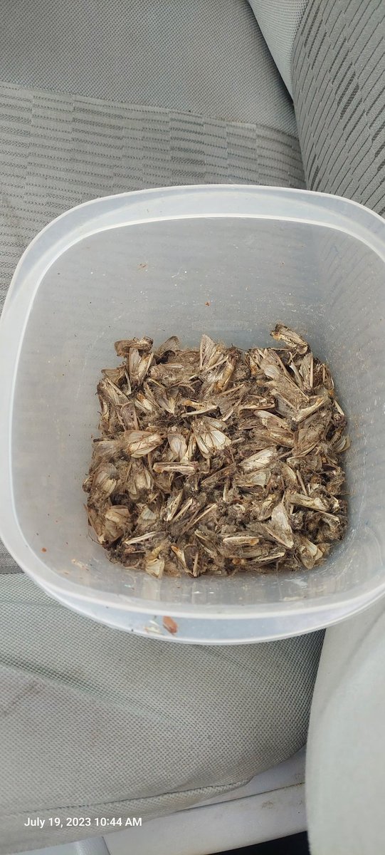 Greg Roth tweet media