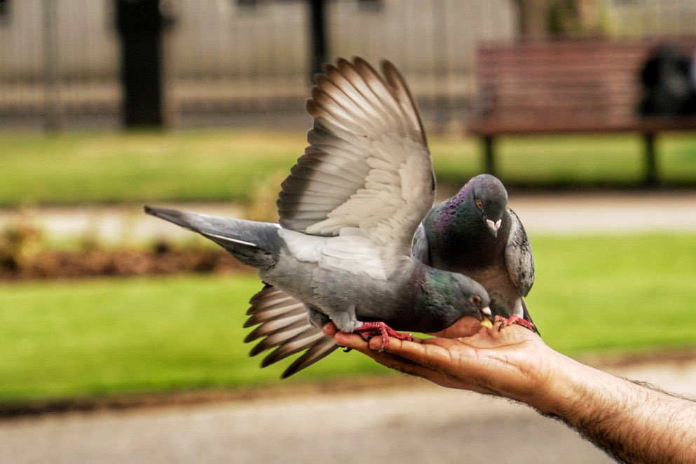 #leeds  you are beautiful #photograph #PhotoChallenge2023July #photographer