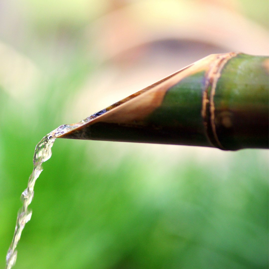 Did you know - bamboo uses significantly less water than most commercial crops? It gets the majority of its water from the ground and stores it, which is a plus for water conservation. With the concerning future of water usage, we can all do our part to make sure there is enoug