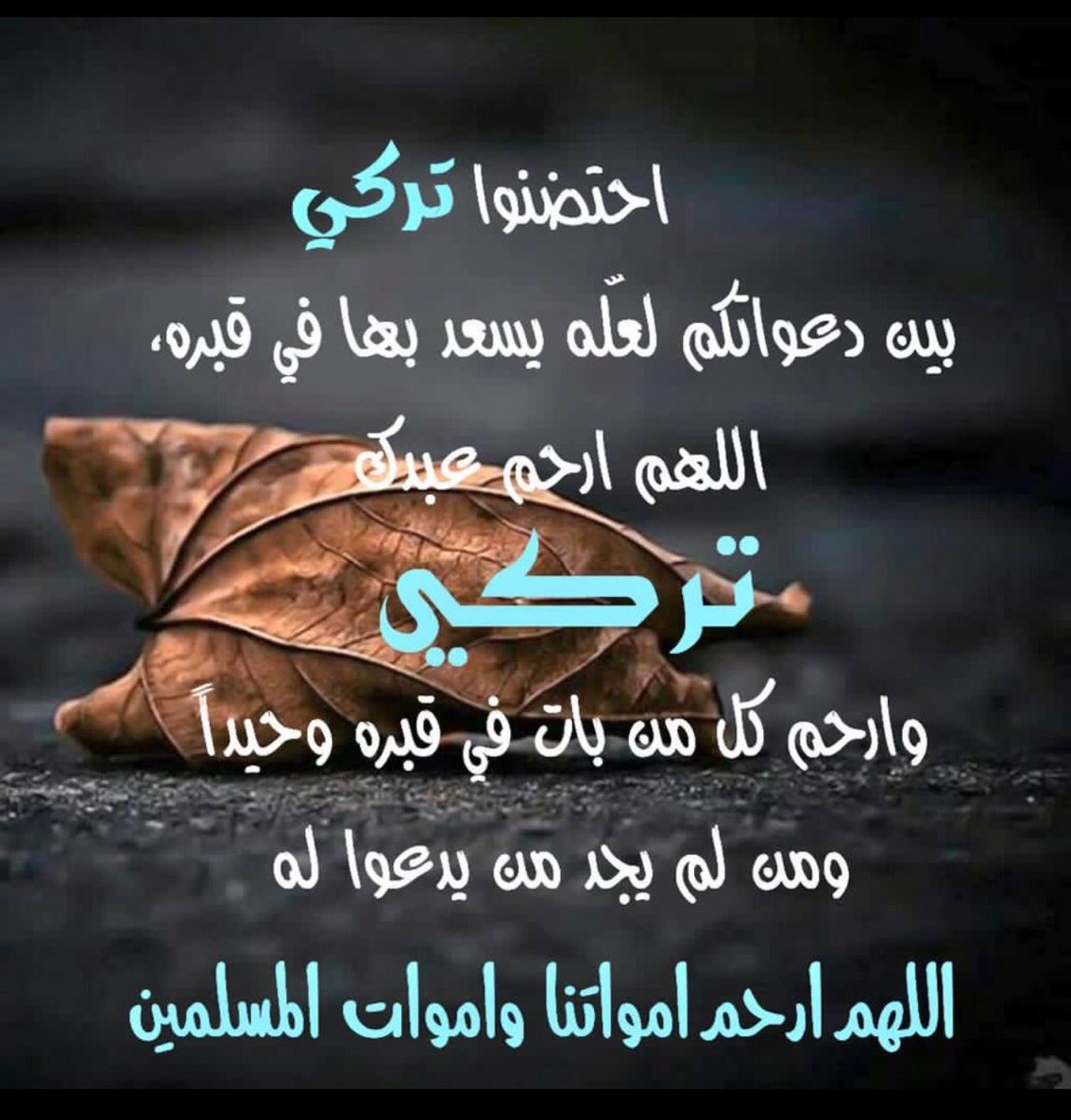 محمد سمير المطيري (@almutair69) on Twitter photo 