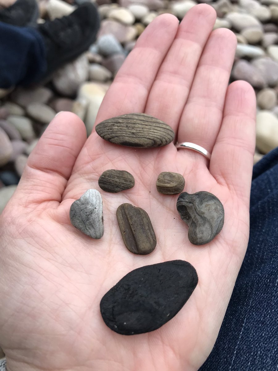 Jen Shepherd tweet media