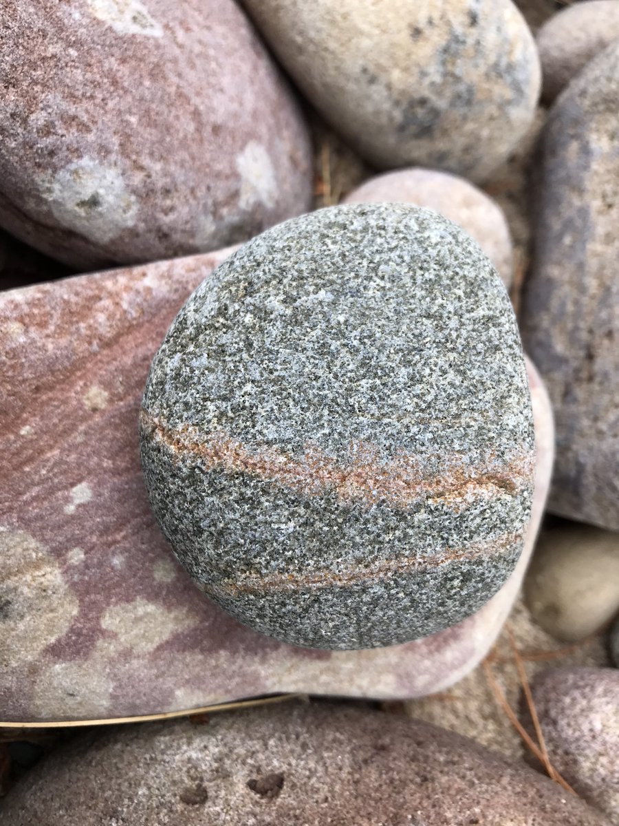 Jen Shepherd tweet media