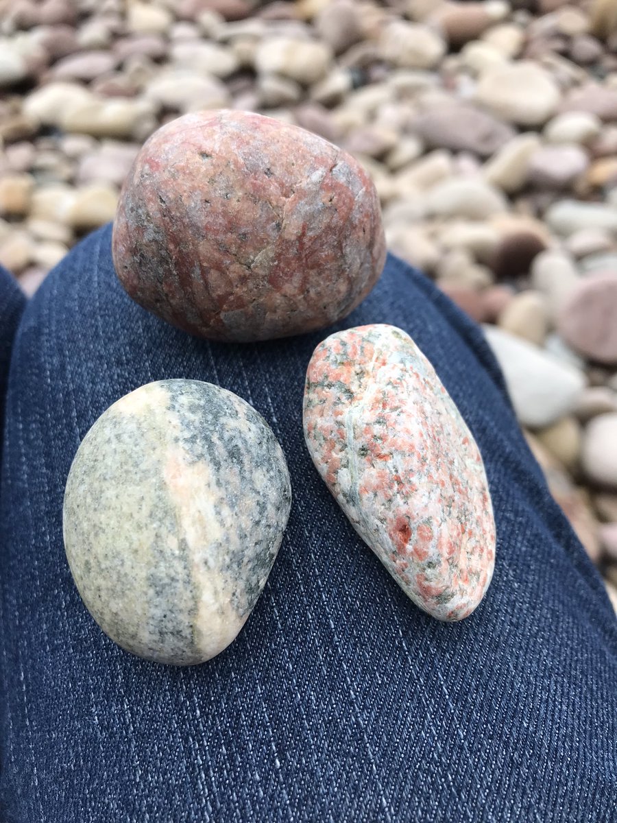 Jen Shepherd tweet media