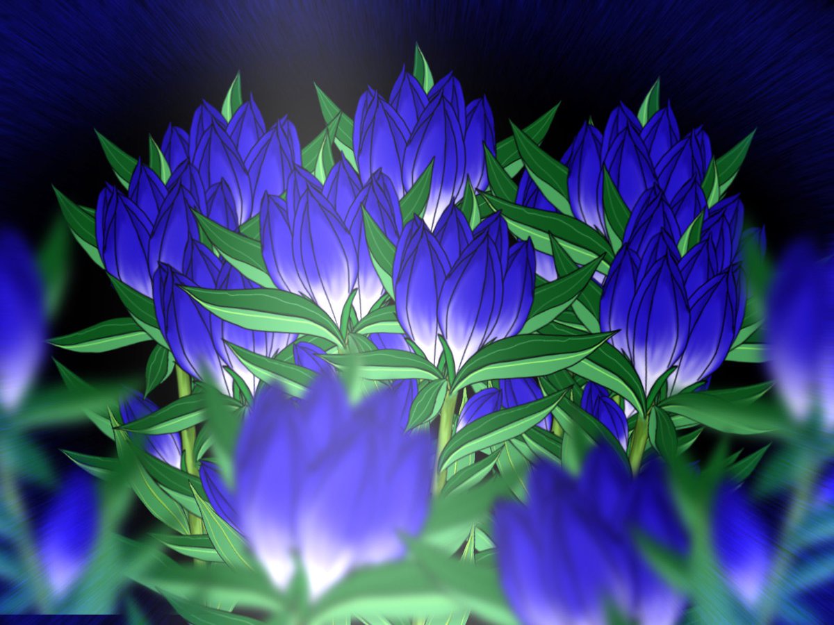 flower no humans still life blue flower blurry purple flower depth of field  illustration images