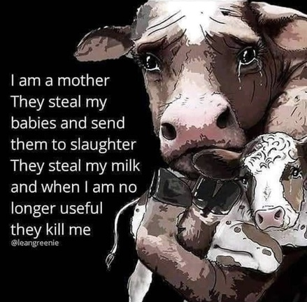 veganfuture's tweet photo. https://t.co/WbxkmDRTdK