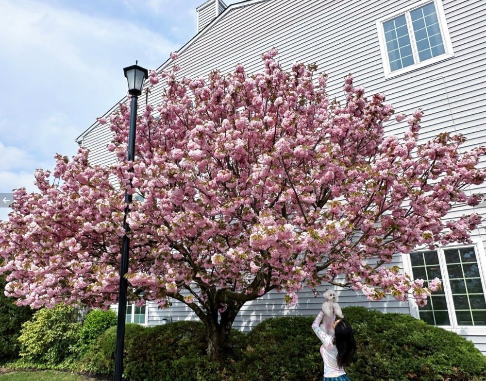 Love_Chrb00's tweet image. Live with endless joy and enjoy the best that will come your way💋💋