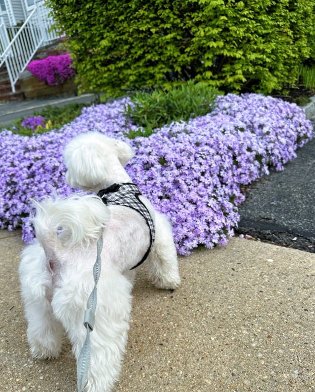 Love_Chrb00's tweet image. Live with endless joy and enjoy the best that will come your way💋💋