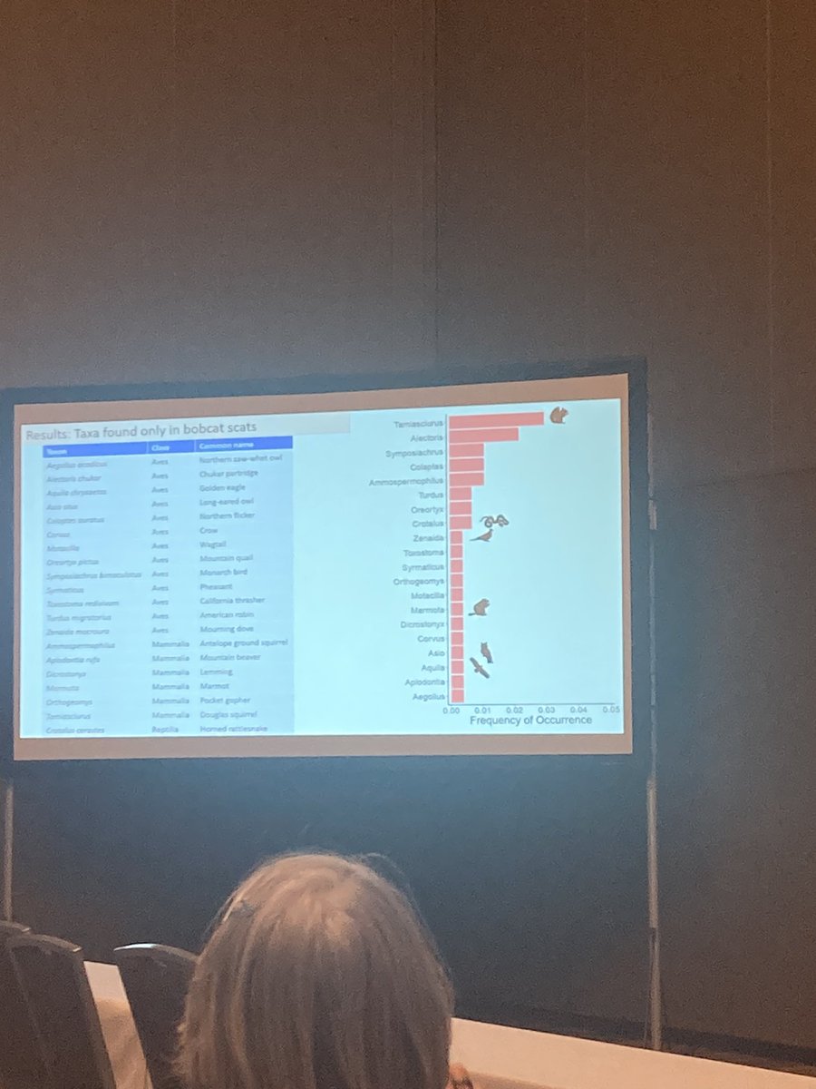 Great to see robust studies looking at this topic! 

Javier Monzon presented on dietary overlap between #bobcats and #coyotes at #IMC13 

@MammalMeetings 
<a href="/Mammalogists/">Am Soc Mammalogists</a> 
If anyone knows Javier on Twitter please tag him I’d love to connect