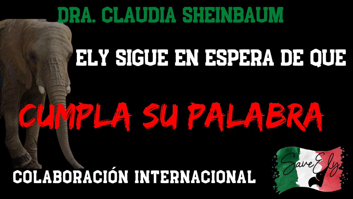 Marilu86053's tweet photo. @JohnMAckerman @Claudiashein @ConvenMorena -¿Por qué traicionó a los capitalinos apoyando a los taurinos?
-¿Por qué no cumplió su palabra con la elefanta #Elty
-¿Qué hizo con los 21 millones de pesos que cobró de tanto animal muerto en los zoológicos?
-¿Por qué no hizo nada en el mercado de Sonora?
https://t.co/Y5WJfLwqcw https://t.co/yJ4c5AUWh6