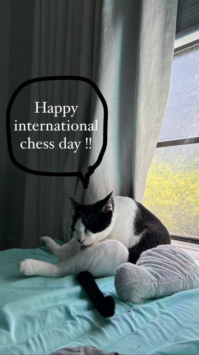 Almost forgot, happy international chess day from my cat (who happens to be suspiciously chess-themed), Eren Jaeger! https://t.co/mqSHMCeF5y