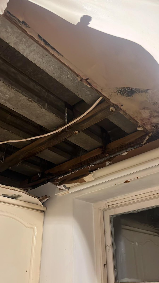 The kitchen ceiling collapsed in my shared rented flat in London. I’ve been living in a death trap for two years. The housing crisis is worse than you think. Any advice welcome.