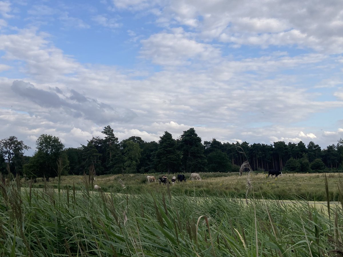 Pastoral thinking. Pause and be still on the riverbank. Watch the water drift by. Similarly let your thoughts go by. Take a step back from them rather than be ensnared (whatever such thoughts may be). Just enjoy the peace of the present. Sights, sounds, and the presence of God.