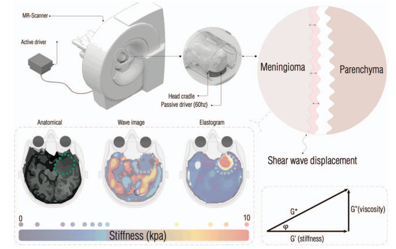 ​Topics in Magnetic Resonance Imaging - TMRI tweet media