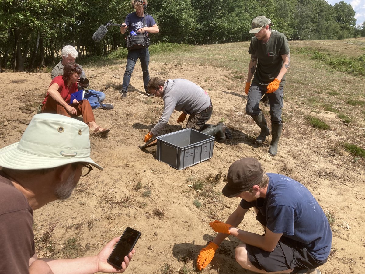 natuurenbos's tweet photo. Vandaag werden er jonge knoflookpadjes uitgezet in het driesterrenreservaat De Maten in Genk. Welkom terug!
Lees het persbericht > https://t.co/3gCgMrLsXh
@INBOVlaanderen #nattenatuur #dematen #genk #limburg #knoflookpad https://t.co/LLBuk8AYCv