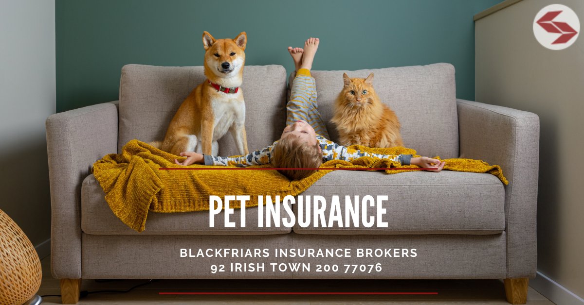 GibInsurance's tweet photo. Pet Insurance from Blackfriars Insurance Brokers 
~ Three levels of cover to suit your needs 
~ Fixed annual fee, even if you claim 
~ Multi-pet discount available 
Call us on 200 77076 or visit the website
https://t.co/kBovZcqPs2
#blackfriars #petinsurance #gibraltar https://t.co/L39FZ9qsQq