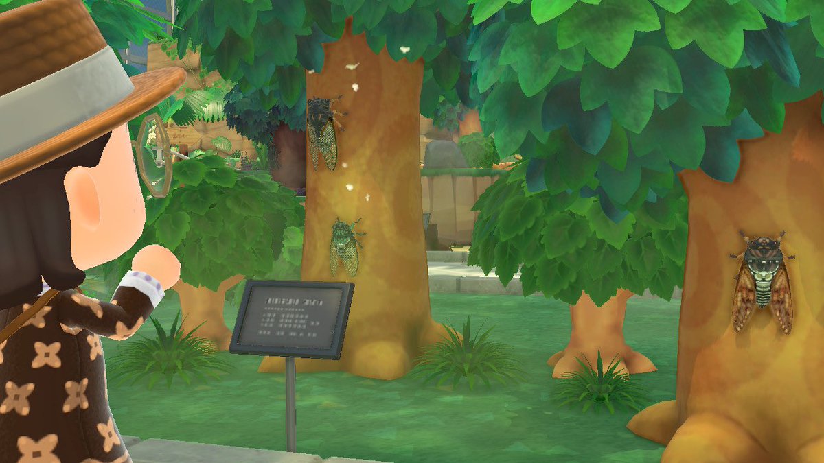 ls_grandpa's tweet photo. Getting ready for the bug-off this weekend with some research at the museum! 🪲🐞🦟 #acnh #AnimalCrossing #acnhbugoff https://t.co/tBvPS2iIOv