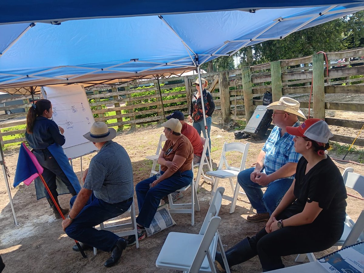 GelaGonella's tweet image. Last extension program before vacation! Thanks to all the extension agents who made this happen! Amazing program, great group of people, and the fanciest venue I ever had for this kind of programs #AGextension #lovemyjob @ufifasnfrec