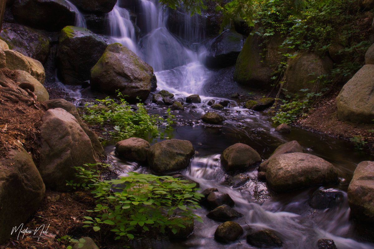 breatheinphoto's tweet photo. Hidden Waterfall.
#CaptureMinnesota #Midwestmoment #Minnesota #MNphotographers #Minnesotagrammers #Photoglife #ExploreMN #OnlyinMN #Minnesotalife #CaptureMN #NaturePhotography #Landof10000lakes #MNphotographer  #MinnesotaPhotographer #ThisismyMN  #travel #beautiful https://t.co/vB5E7qgrTa