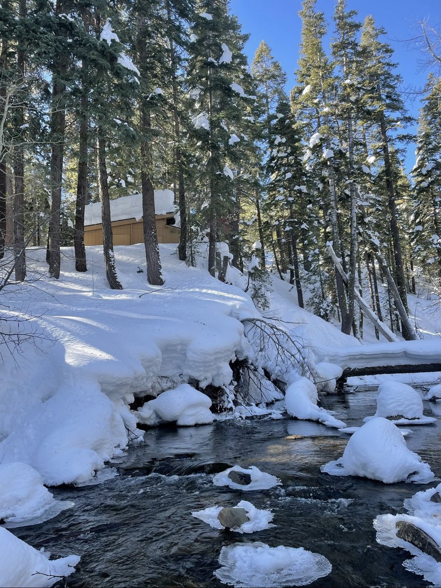 Jasmine Krause (she/her) tweet media