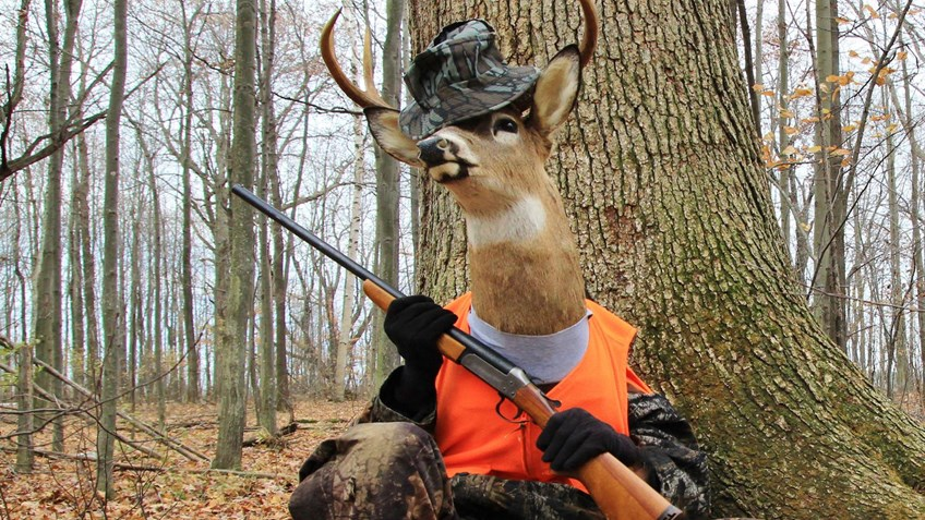 Firestone Park Service tweet media