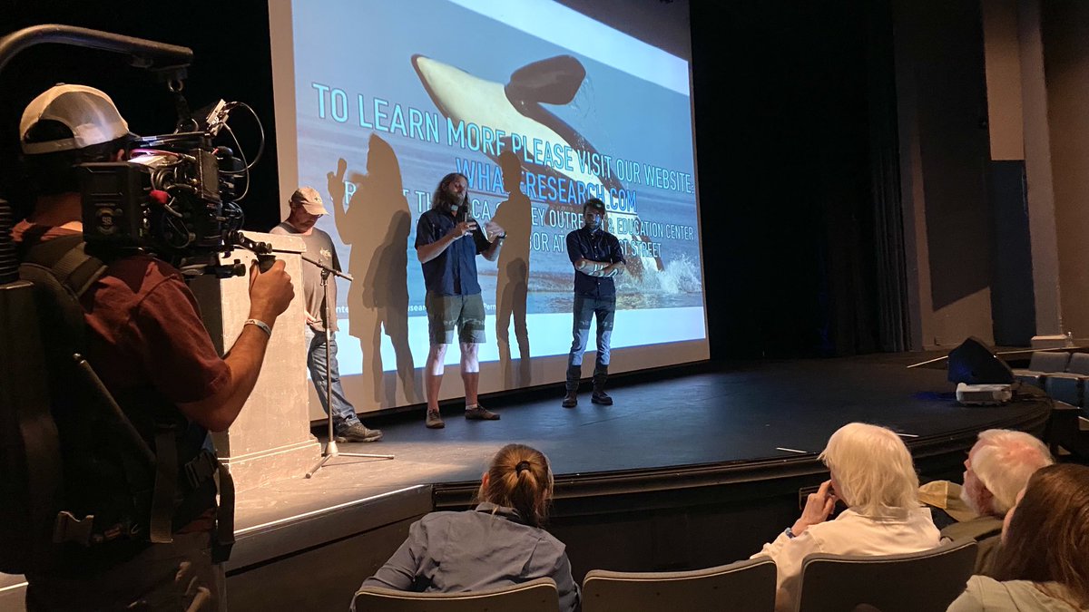 Voice of the Orcas tweet media