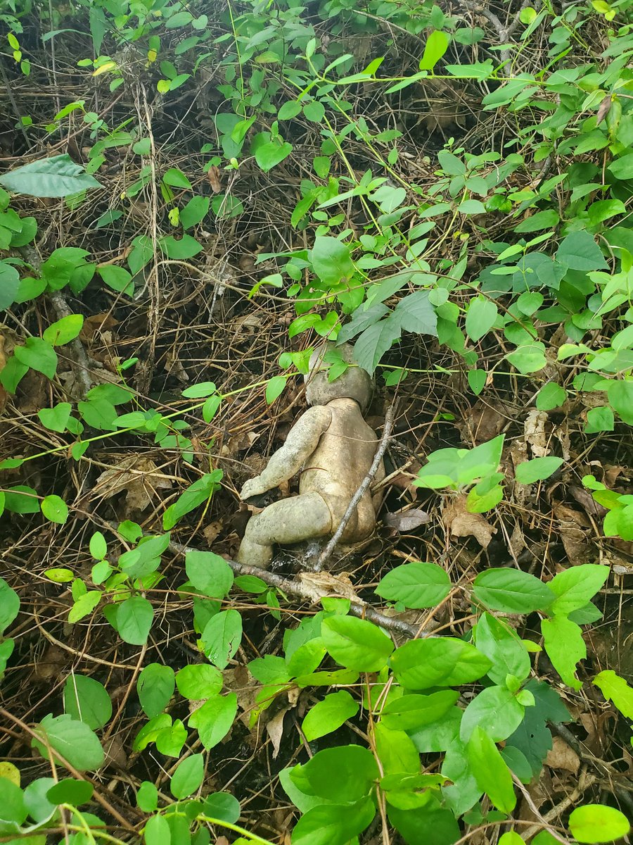 Aaron Henning tweet media