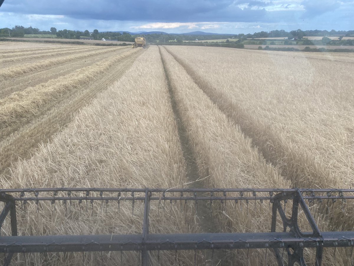 No greater job in the world