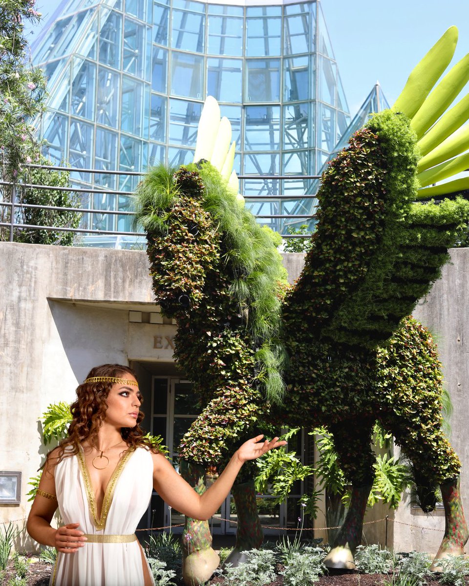 San Antonio Botanical Garden tweet media