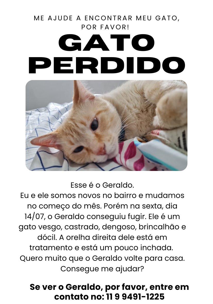 mazzuka's tweet image. Twitter, será que vocês me ajudam nessa? To desolada que não encontro o Gegeco. Ele conseguiu escapar mesmo com a casa toda telada. Foi por uma mini fresta que não tinha visto ainda na correria da mudança.
O bairro para o qual mudamos é Santo Antônio, Osasco