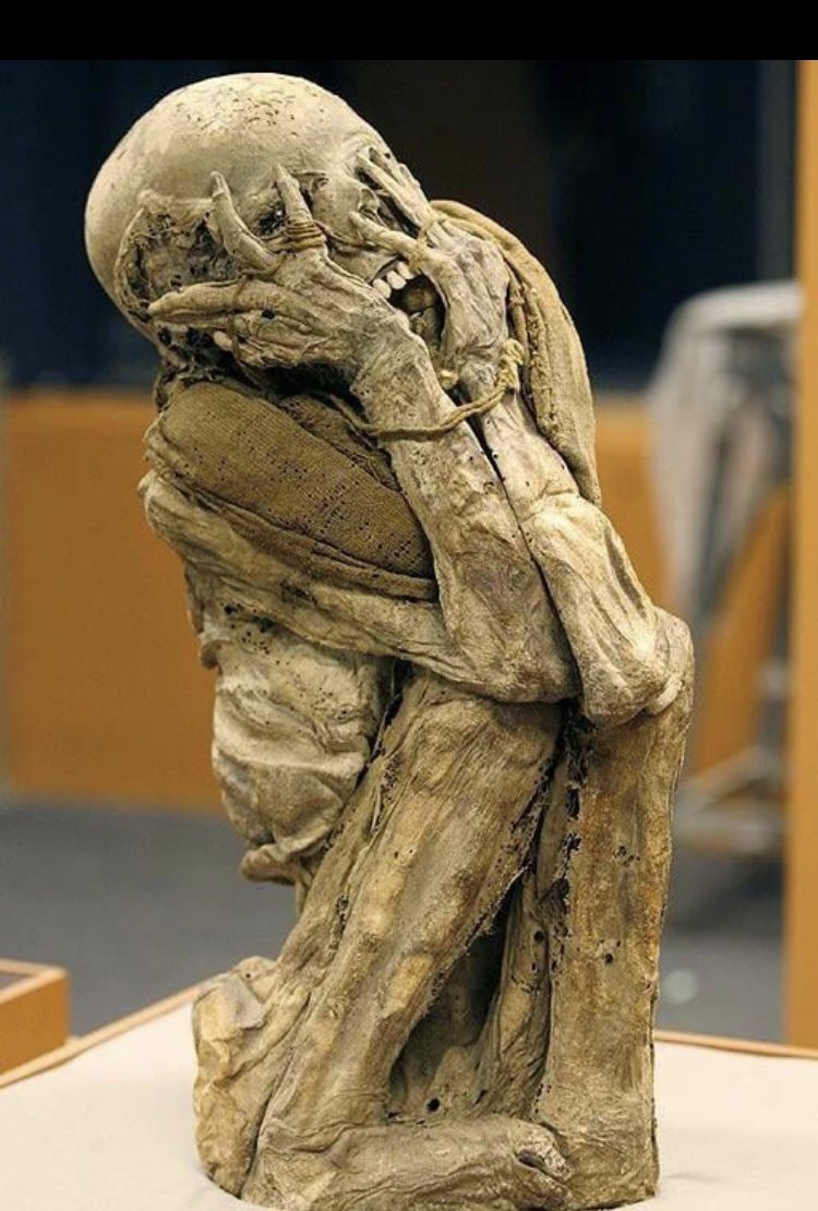 FEVRPEACH's tweet image. 🍑The face you make when you miss out on tix for INTENSE GOBLIN NIGHTMARE WOMAN🧙‍♀️👺 

@Justthetonic at The Caves

Aug 3-27 @ 8pm @edfringe 

Tix shorturl.at/gySZ9

#mummy #petrifiedstandup #Edinburgh #edinburghfringe