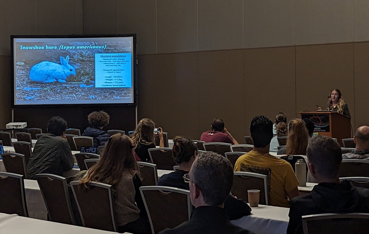 katderieg's tweet photo. @KsUlbing gave us a look into the challenges snowshoe hares face throughout the seasons and what their genomes tell us about how they survive and adapt. Excited to see what you learn about those genes under selection!🐰🧬🏔️
#IMC13 @umontana https://t.co/qNzL97FeTs