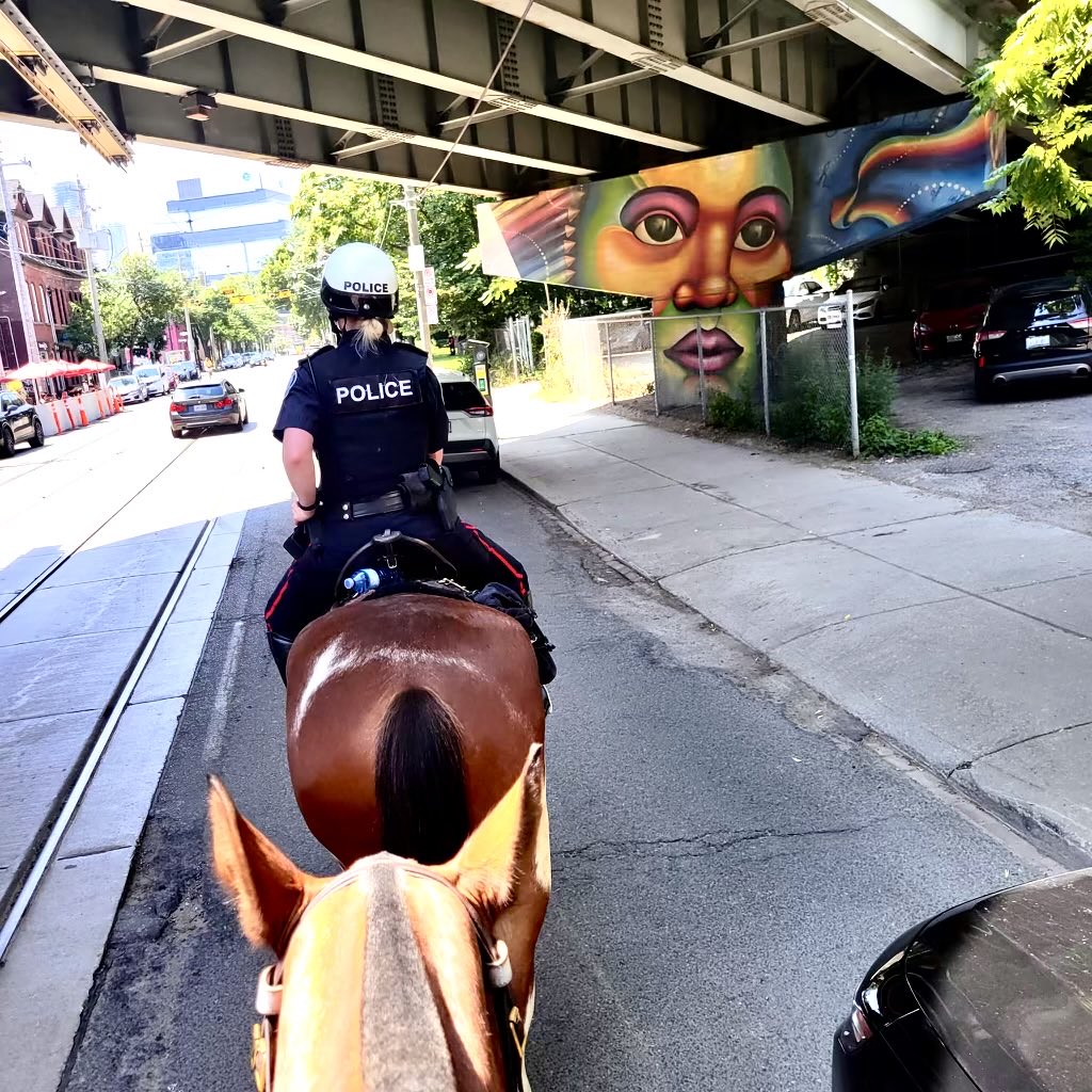 TPSMounted's tweet image. #PHJoe &amp;amp; #PHDraper are patrolling 51 Division today -you might spot them on busy Queen St, in a residential lane way, or any of the divisions’ green space,these 2 tend to cover a lot of ground. Come say hello if you see them and grab one of their Mount Cards😉🐴 Yes its a thing!
