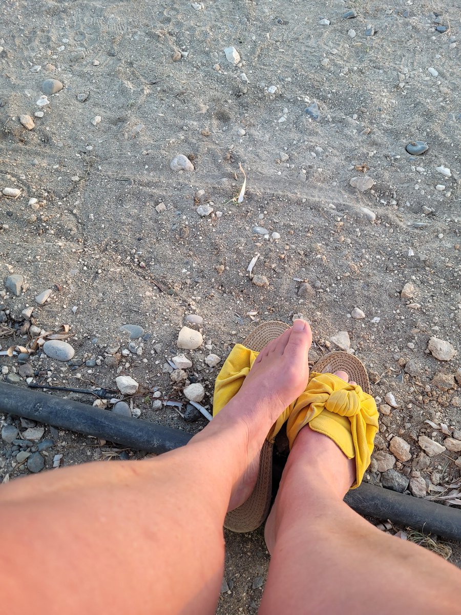 MotorhomeFeet's tweet photo. https://t.co/BEC31n6qdw