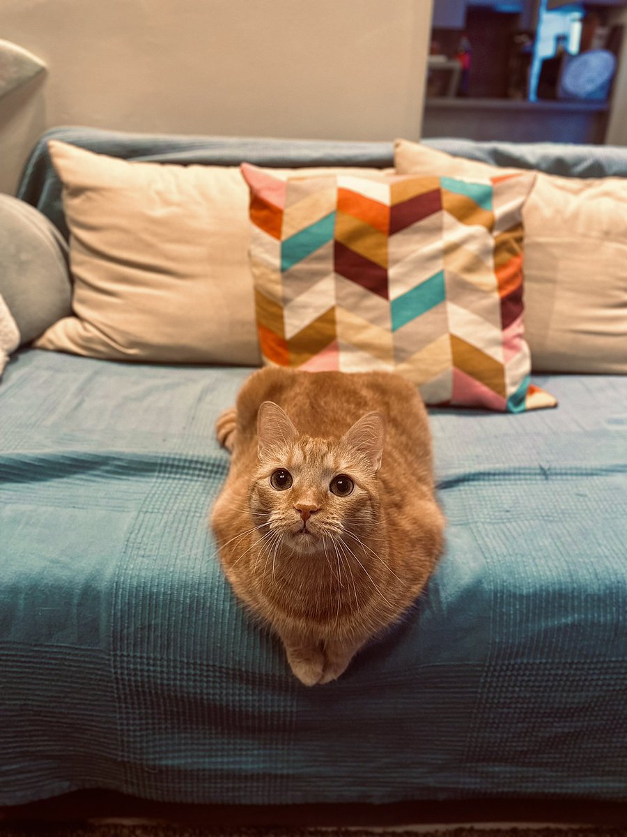 Peter Kerulo tweet media