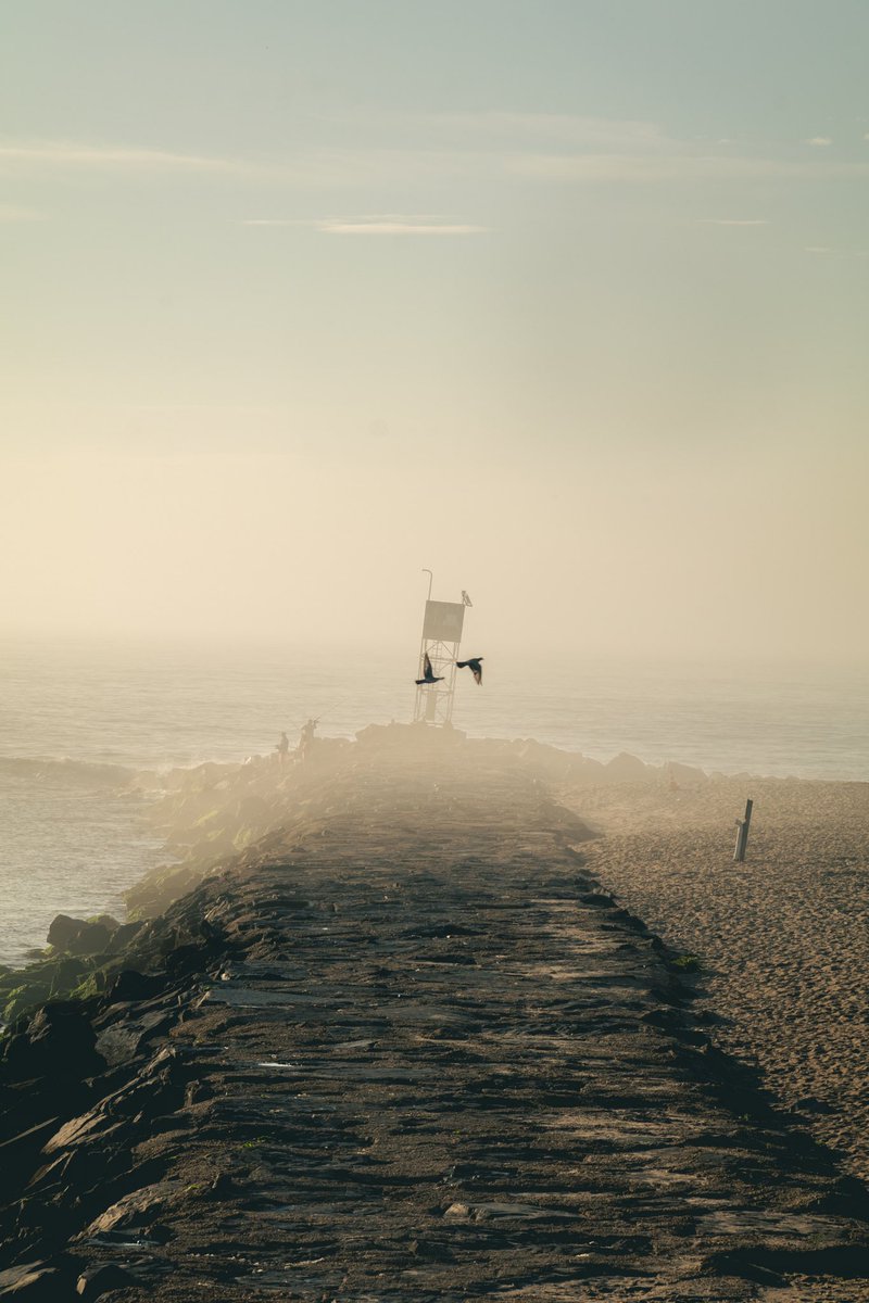 sofirosebud's tweet photo. #photography from the beautiful beach town of  #Belmarnj https://t.co/OyFMp852LY