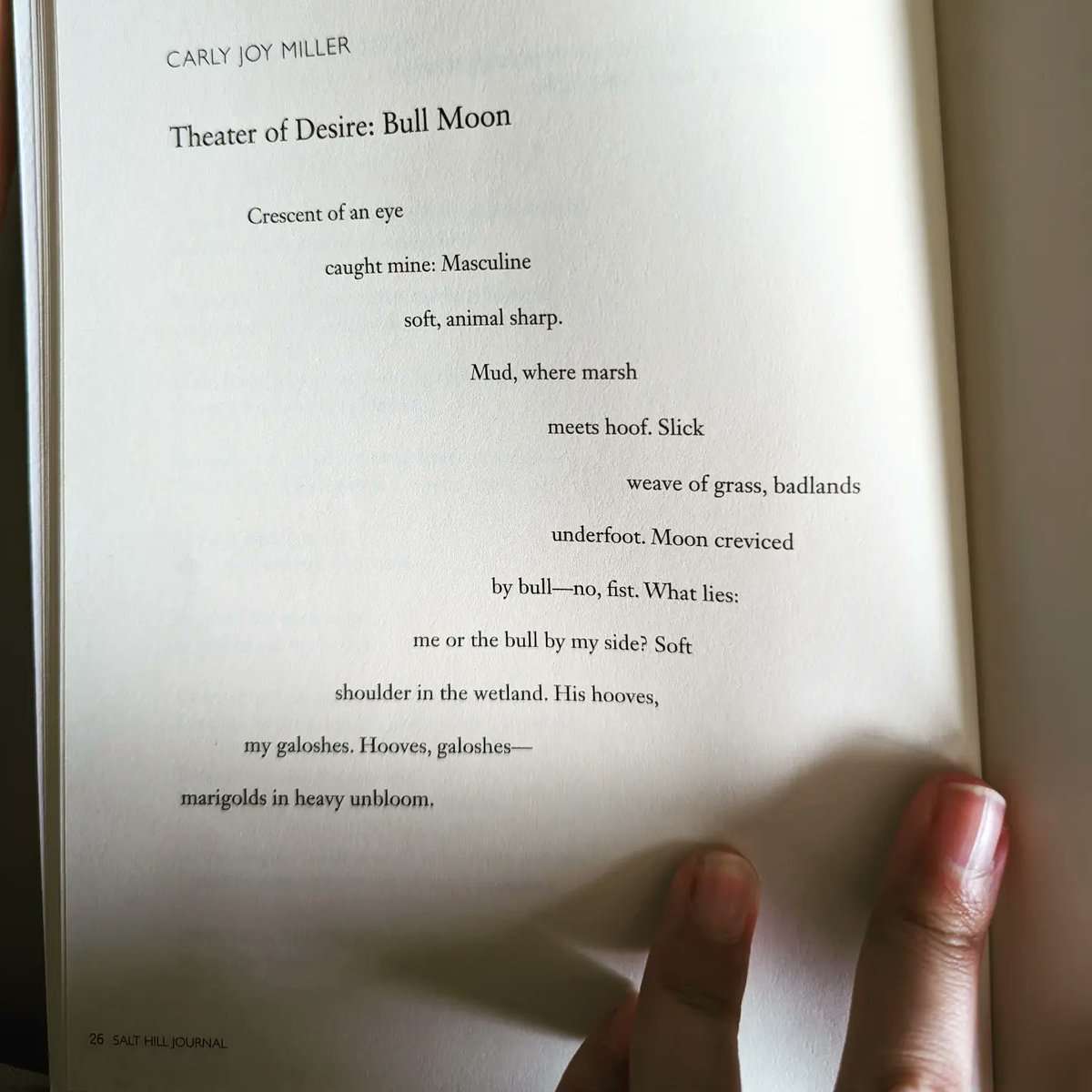 Been a minute, but very excited to have a new poem in the latest @salthilljournal! 🐂🌙