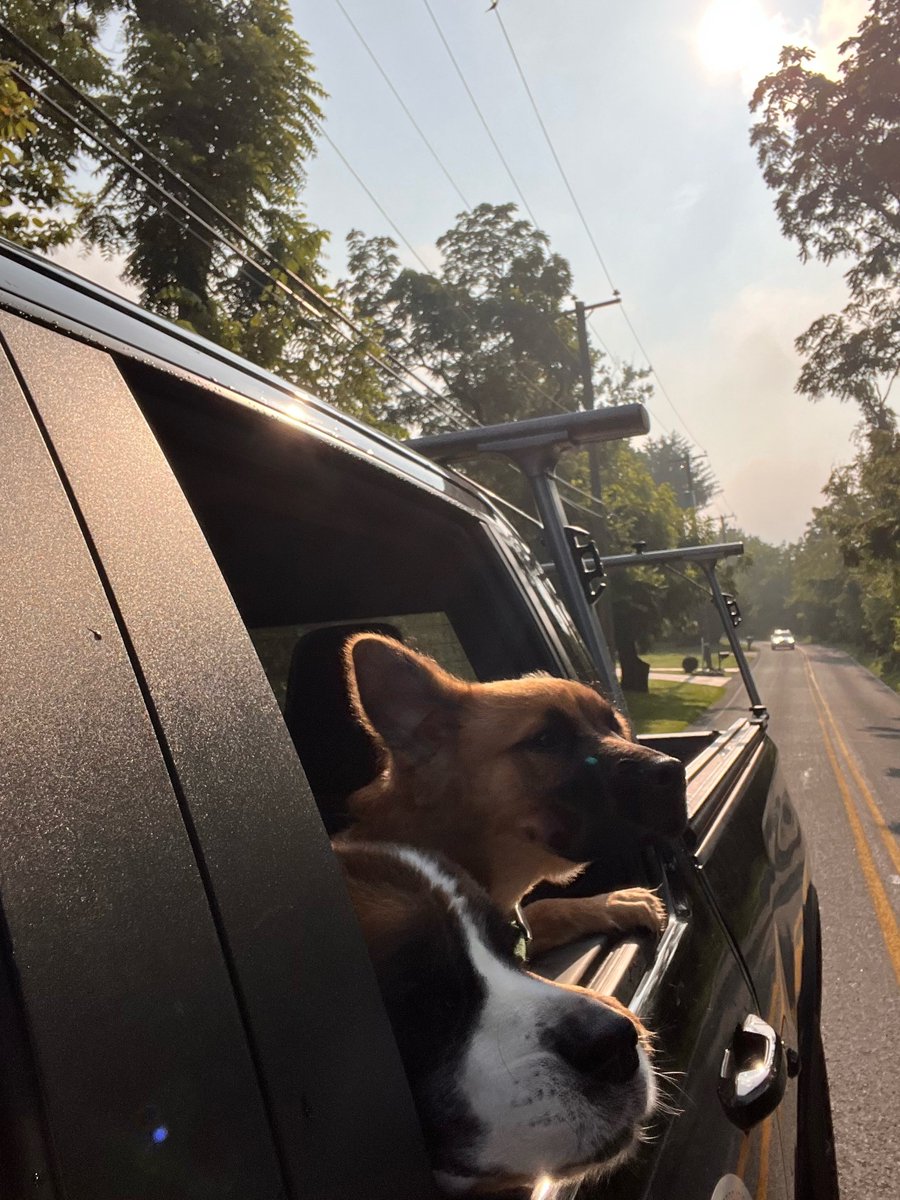 Jeff Devlin tweet media