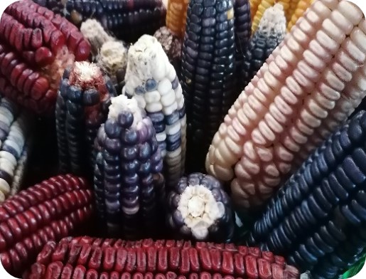 Itandehui Arriaga G. tweet media