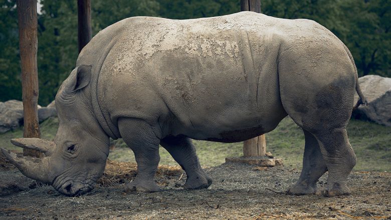 floortrendsmag's tweet image. Get a behind-the-scenes look at @MohawkFlooring’s latest SmartStrand campaign activation. 👉 fal.cn/3A3Vp

#mohawk #mohawkindustries #smartstrand #floortrends #flooringindustry #floortrendsmag