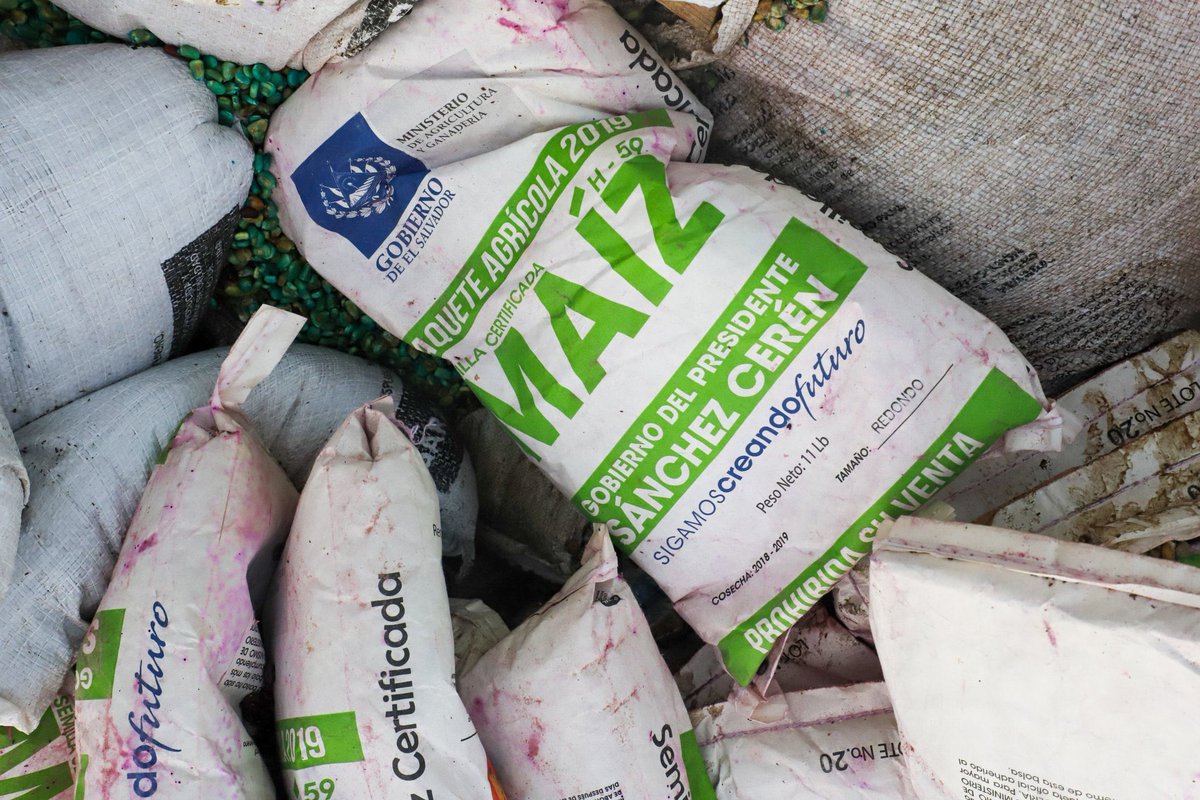 JoseValdezSV's tweet image. Mauricio Funes y Sánchez Ceren permitieron que se perdieran 30mil quintales de maíz y frijol, antes que dárselo a los agricultores salvadoreños.

Con que cara vienen a hablarnos de “trabajar a favor de las mayorías”