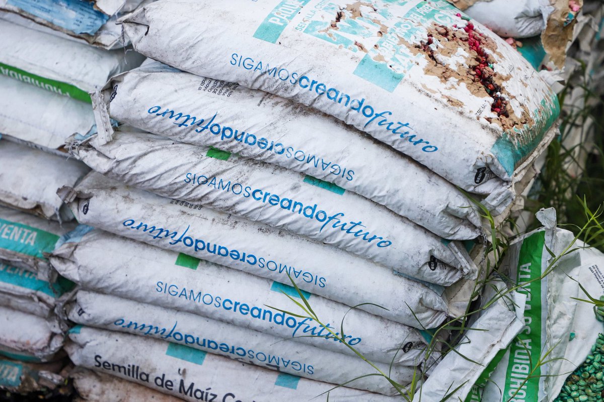 JoseValdezSV's tweet image. Mauricio Funes y Sánchez Ceren permitieron que se perdieran 30mil quintales de maíz y frijol, antes que dárselo a los agricultores salvadoreños.

Con que cara vienen a hablarnos de “trabajar a favor de las mayorías”