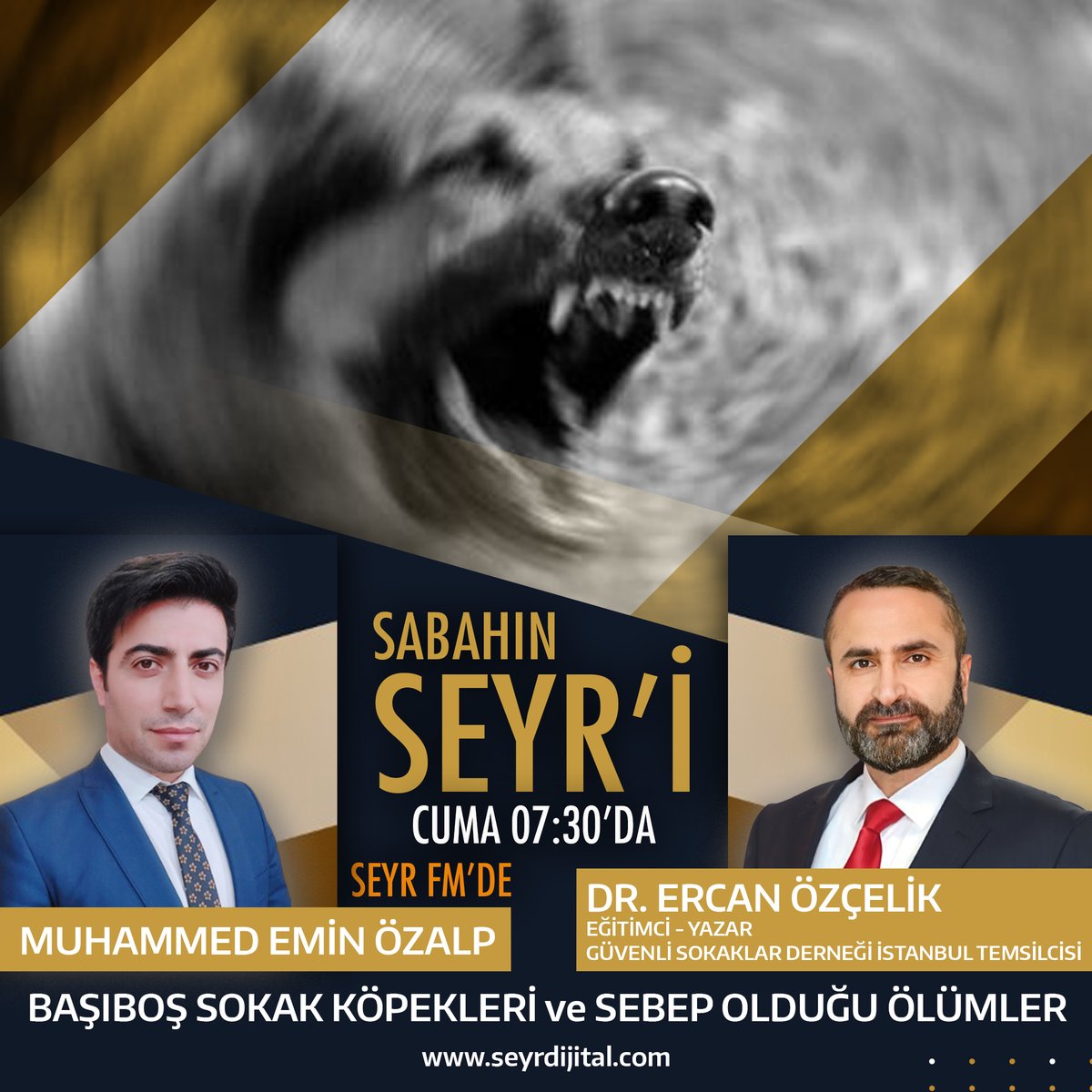 seyrmedya's tweet image. #güvenlisokaklar #başıboşköpekler #sokakköpekleri @_ErcanOzcelik #Kuduz #trafikkazaları #çocuklar