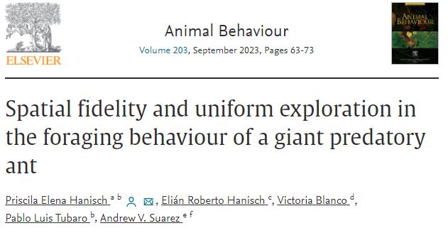 AnimBehSociety's tweet photo. "we measured the number of workers and the total foraging area. Additionally, we measured Shannon's entropy to describe foraging behaviour structure of the colonies." #giantpredatoryant
A study by @PriscilaHanisch et al
#foragingbehaviour
https://t.co/m1x8Ty9r0B https://t.co/4kT5quSUbF