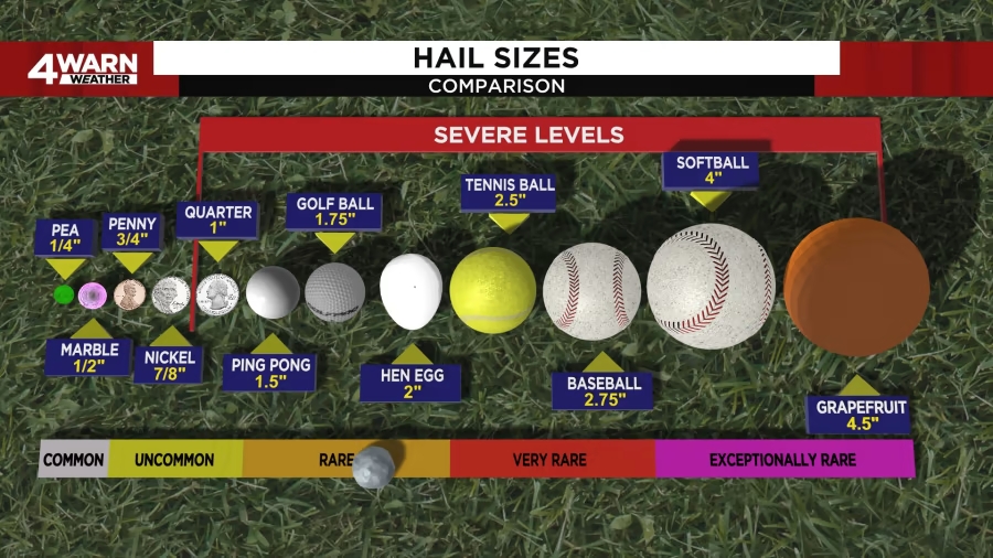 RonHilliardTV's tweet image. Hail reports into the National Weather Service:
Ping pong-sized: Elba Twp, Lapeer Co. at 2:57 p.m.
Tennis ball-sized: Davison, Genesee Co. at 3 p.m.
Ping pong-sized: NW Detroit, Wayne Co. at 3:10 p.m.
#4Warn #Weather @Local4News