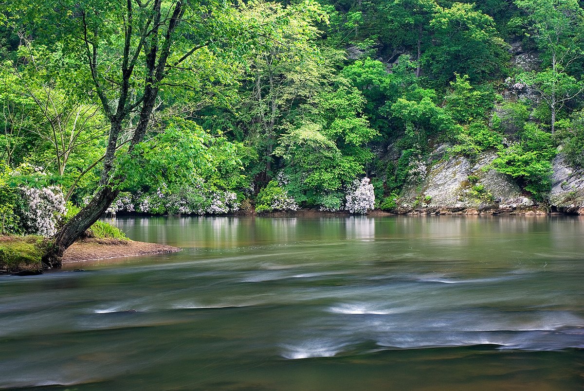 Chattahoochee National Park Conservancy tweet media