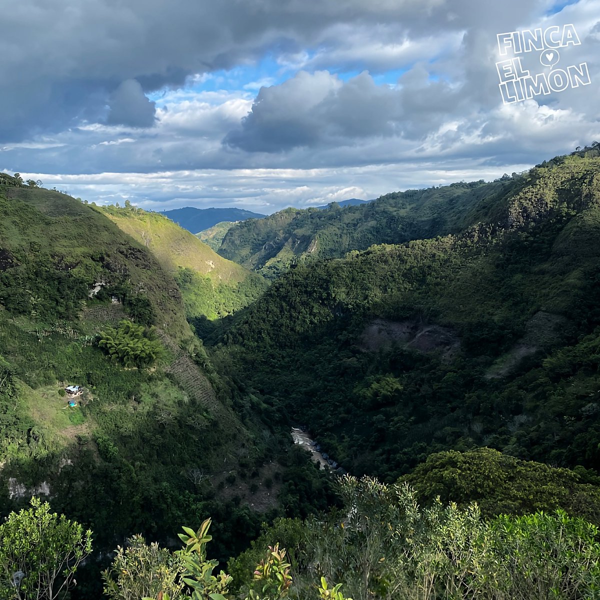 #fincalemon #canyon #nature #ecoturismo #turismorural #aventura #turismo #destinos #folkmagazine #yourshotphotographer #folkgreen #mountains #landscape #hiking #naturephotography #adventure #travelphotography #mountain #landscapephotography #naturelovers #trekking #explore #sky